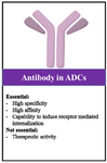 <p>Figure 3. Main considerations in producing antibodies for ADC design and development.</p>