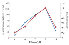 <p>Figure 1. Effect of pH on growth and L-asparaginase production.</p>