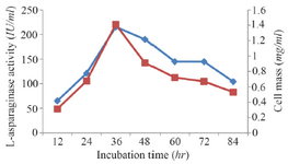<p>Figure 3. Effect of incubation time on growth and L-asparaginase production.</p>