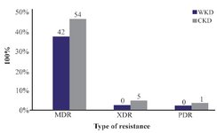 <p>Figure 4. MDR, XDR and PDR gram-negative bacteria isolated from outpatients infected with urinary tract infection. MDR: Multidrug resistance; XDR: Extensive drug resistance; PDR: Pandrug resistance, WKD: Without kidney disease, CKD: Chronic kidney disease.</p>