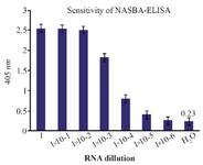 <p>Figure 5. The assay of the sensitivity of NASBA-ELISA DIG-detection system for molecular detection of <em>M. tuberculosis</em> EF-Tu mRNA in broth media. Ten-fold serial dilutions of the RNA were used in DIG-detection NASBA-ELISA system. Each dilution was analyzed in triplicate (The concentration of the first dilution is 7 <em>ng/&micro;l</em>).</p>