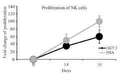 <p>Figure 2. Linear chart shows the comparison of NK cells proliferation stimulated with PHA and OKT3 between days 0, 14 and 16.</p>