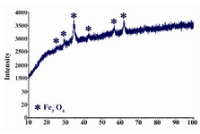 Figure 1. XRD pattern of the co-precipitated magnetite nanoparticles