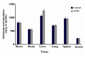 Figure 1. Distribution of Se in different tissues and sera of mice which received SeNPs for 30 days in comparison with PBS supplemented mice (control group). This figure shows that Se deposition was a little more only in liver tissue of SeNP administered mice compared to PBS control