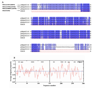 Figure 6. Sequence analysis of Cell Binding Domain of HapS from different NTHi strains. A) Sequence alignment of 3 different CBD amino acid reference sequences with the CBD sequence employed in this study (The fourth row). The CBD sequences were obtained from the NCBI gene bank database (accession numbers are shown). Identical and conserved amino acid residues are shown in black background and similar amino acids are shown in gray background; B) The CBD (amino acid 1�300) antigenicity plot of this study according to the Kolaskar and Tongaonkar method. The residues above the threshold level are hydrophilic. Threshold was set up for 8 residues