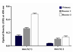 Figure 5. Presence of specific antibodies anti-PBP2a in the sera of mice immunized with the recombinant protein vaccine and the negative controls after each course of immunization. Data presented as mean ±S.D of experimental group (n=14)