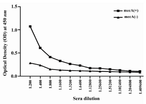 Figure 6. Titration of anti-PBP2a antibody in experimental group with ELISA method. Sera of experimental groups were diluted and ELISA was carried out. Values are presented as mean±S.D of 14 mice in each group