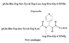 Figure 1. Chemical structures of the triptorelin and the new analogue