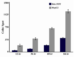 Figure 5. Cell growth behavior in HEK 293T and HepG2 cell lines measured by ImageJ software 