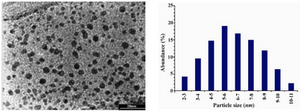 Figure 4. Transmission electron micrographs recorded from a small region of a drop-coated film of silver nitrate solution treated with the geraniol (left picture) for 40 sec in a microwave oven (scale bars correspond to 20 nm). The related particle size distribution histograms (right picture) was obtained after counting 300 individual particles