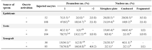 Table 1. Dog sperm head decondensation with different sources after intracytoplasmic injection into sheep oocytes
  a-d) Numbers with different lowercase superscript in the same column differ significantly (p<0.05)
