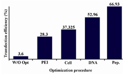 Figure 5. Effect of stepwise optimization on transfection efficiencies of CHO DG44 cells transiently transfected with pTracer-SV40-mutated t-PA plasmid. The optimized values for each step were used in the next experiment