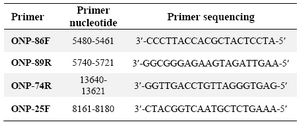 Table 2. Primer used for common deletion detection