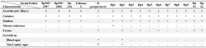 Table 2. Differential characteristics of vaccine strains, clinical isolates, and reference strains of B. pertussis and B. parapertussis
* Growth rate represents minimum days of appearance of colonies on BGA; Bp: Bordetella pertussis, V: Variable growth patterns

