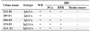 Table 1. Characterization and the reactivity of mAbs against PSA<br />
WB: Western Blot; PCa: Prostate Cancer; BPH: Benign Prostatic Hyperplasia






