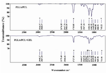 Figure 3. ATR-FTIR spectra of PLLA/PCL and gelatin coated PLLA/PCL. The * indicates characteristic peaks of PLLA/PCL and # indicates peak for Amide III of gelatin.
