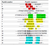 <p>Table 1. The result of multiple sequence alignment of anti-VEGFR2 peptides (Bin&eacute;truy-Tournaire <em>et al</em>, Vicari <em>et al</em>, Selwood <em>et al</em>, Kim <em>et al</em>, Garcia-Aranda <em>et al</em>)</p>