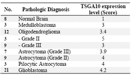 Table 1. TSGA10 protein expression in 63 human brain samples