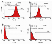 Figure 2. Flow cytometry analysis of human Wharton's Jelly-Mesenchymal Stem Cells (WJ-MSCs) for surface markers. The cells were positive for CD90 and CD105, but roughly negative for CD34 and CD45.