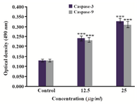Figure 6. Treatment with O. erinaceus polysaccharide induced activation of caspase -3 and caspase -9 with increasing concentration of polysaccharide in HeLa cells. 
***P<0.001 was considered significant between experimental groups and control. 
