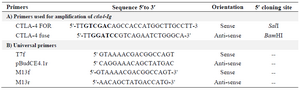 Table 1. Oligonucleotides (primers) used in present study (restriction sites were showed in bold)