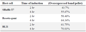 Table 1. Quantification of the overexpressed reteplase bands to the total insoluble fraction for three strains