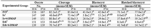 Table 1. Comparison of in vitro development of ovine oocytes activated by Ionomycin or Ethanol alone or in combination with 6-DMAPat 22 or 27 hr after in vitro maturation
a,b,c,d Means�SEM; different lowercase letters indicate statistical differences into columns (p<0.001)
A,B Means�SEM; different uppercase letters indicate statistical differences in the same embryonic development stage (p<0.05)
1In vitro fertilization; 2Ionomycin; 3Ethanol