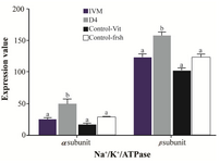 <p><strong>Figure 2.</strong> Effect of Ang II supplementation in culture medium during IVM and IVC (day 4) on expression of &alpha;<sub>1</sub> and &beta;<sub>1</sub> Na<sup>+</sup>/K<sup>+</sup>/ATPase subunits in embryos derived from vitrified and fresh oocytes. Mean fluorescence intensity was measured&nbsp;by manually outlining the embryos with&nbsp;ImageJ 1.37 <span style="font-style: normal !msorm;"><em>v</em></span> software. The values are expressed as mean&plusmn;SEM. For each Na<sup>+</sup>/K<sup>+</sup>/ATPase subunit, bars with different lowercase letters indicate significant difference between experimental groups ( IVM, D4, and control; p&lt;0.05).</p>
