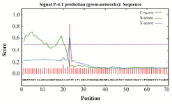 <p>Figure 1. Sequence analysis of the L-asparaginase II signal peptide by SignalP 4.0 server.</p>
<p>Signalp 4.0 determines five different scores including C, S, Y, S-mean and D scores. Cleavage sites and signal peptide positions are recognized by C and S-scores, respectively. A derivative of the C and S-scores called Y-score eventuates in more precise prediction of the cleavage sites than the raw C-score. S-mean is the average of S scores. D-score is also the average of the S-mean and Y-max which represents premiere discrimination between secretory and non-secretory proteins. There is a high possibility of being signal peptides for sequences with D-score &gt;0.5. The results for L-asparaginase II signal sequence in connection with hGH sequence are as follows: C-score: 0.838, S-score: 0.707, Y-score: 0.644, S-mean: 0.555, D-score: 0.61.</p>
