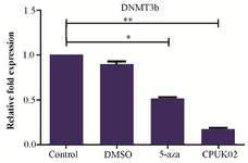 <p>Figure 2. The effect of CPUK02 on DNMT3b expression.</p>
<p>CPUK02 and 5-aza were able to decrease mRNA level of <em>DNMT3b </em>gene in comparison with control group in HCT 116 cells.</p>
