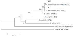 <p>Figure 1. Phylogenetic tree based on 16S rRNA nucleotide sequences. The scale bar corresponds to 0.02-estimated nucleotide substitution per</p>
<p>sequence position. Bootstrap values from 1000 replicates.</p>
