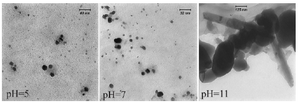 <p>Figure 2. TEM micrograph of biologically synthesized silver nanoparticle at various pHs. Spherical nanoparticles were formed in acidic and neutral pHs; while nanorods were developed at pH=11.</p>
