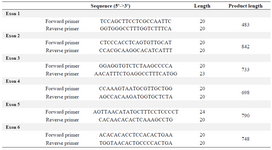 <p>Table 1. Primers used for amplification of <em>SNX10</em> gene exons. Each amplified fragment contained the corresponding exon with at least 50nt of flanking introns</p>
