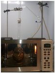 <p>Figure 1. MAHD apparatus used in this study.</p>