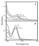 <p>Figure 2. A) UV-visible spectra of (a) HBCD (100 <em>&mu;M</em>); (b) RNA (40 <em>&mu;M</em>), (cj) HBCD-RNA complexes: (c) 250, (d) 300, (e) 350, (f) 400, (g) 450, (h) 500, (i) 550, (j) 600 <em>&mu;M</em>. B) Plot of 1/(A-A0) <em>vs.</em> (1/polymer concentration) for HBCD and RNA complexes, where A0 is the initial absorbance of RNA (260 <em>nm</em>) and A is the recorded absorbance (260 <em>nm</em>) at different polymer concentrations (250-600 <em>&mu;M</em>) with constant RNA concentration of 40 <em>&mu;M</em> at pH=7.4.</p>