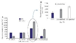 <p>Figure 4. A) Purification of bacteriocin using ammonium sulfate (p&lt; 0.01), B) The activity of Bac70 in cell-free supernatant (883 <em>AU/ml</em>), purified with ammonium sulfate (1479 <em>AU/ml</em>), and purified fraction (RF 0.64) from TLC (1885 <em>AU/ml</em>) against <em>K. pneumonia.</em></p>