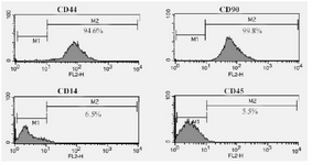 <p>Figure 2. Flow cytometric analysis of hADSCs which were CD44/CD90-positive and were negative for CD14 and CD45 (hematopoietic markers).</p>