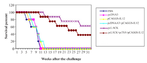 <p>Figure 1. Survival of immunized BALB/c mice after challenge with 2&times;10<sup>6</sup> promastigotes of <em>L. major</em>, four weeks after the last immunization.</p>
