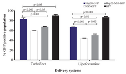 <p>Figure 4. Comparison of TurboFect and Lipofectamine delivery in two independent experiments: The transfection efficiency of Tur-boFect was significantly higher than Lipofectamine.</p>