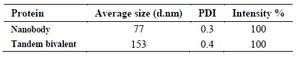 <p>Table 1. Size distribution parameters of nanobody and tandem bivalent nanobody</p>