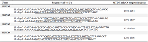 <p>Table 1. Sh.oligonucleotide sequences. The underlined nucleotides are sense sequences for targeting MTDH RNA</p>