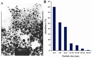 Figure 2. A) TEM recorded from a small region of a drop-coated film of AgNO3 solution treated with dextrose for 60 sec in a microwave oven (the scale bars correspond to 50 nm). B) The related particle-size distribution histogram was obtained after counting 400 individual particles