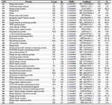 <p>Contd. Table 1. Genomic analysis of the Enfac.MY prophage and its similarity to other analyses from GenBank</p>
<p>CDS: Coding Sequence, <em>bp</em>: Base Pair, DDBJ: DNA Data Bank of Japan, GenBank: GenBank Protein ID for this study, Cv: Coverage, Id: Identity, N/A: Not Applicable or Announced, L: Lysis, PS: Packaging and structural, H: Housekeeping, RR: Replication and regulation.</p>