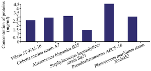 <p>Figure 5. Quantitative proteins analysis of biomolecules secreted by the six marine bacteria.</p>