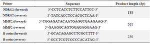 <p><a name="_Toc476388845"></a>Table 1. The primer sequences for the real-time PCR analysis of <em>NDRG2</em> and <em>MMP-2</em> gene expressions</p>