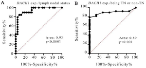 <p>Figure 2. The ROC curve of <em>DACH1</em> expression between the breast cancer patients discriminating both the lymph nodal status (Figure 2 a) and being TN or non-TN (Figure 2 b).</p>