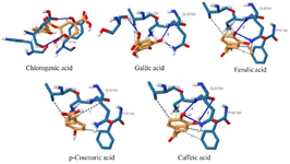 <p>Figure 4. 3D interactions of the selected phenolics with amyloid beta-peptide (1-42).</p>
