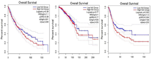 <p>Figure 3. The overall survival curves of patients based on <em>FVIII</em> expression through GEPIA2. A) Lung carcinoma B) Breast cancer C) Bladder cancer.</p>