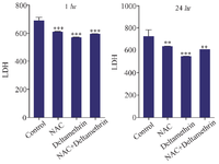 <p>Figure 5. Effect of NAC, Deltamethrin, and NAC+Deltamethrin on LDH enzyme level in the serum of drug-treated mice 1 and 24 <em>hr</em> after receiving the treatments. Control group received 0.5 <em>ml </em>normal saline 0.9%, intervention groups received NAC (160 <em>mg/kg</em>), Deltamethrin (50 <em>mg/kg</em>), and NAC plus Deltamethrin. Data are given as mean&plusmn;SD (n=8). Asterisks **, and *** Represents significantly different p&lt;0.01, and p&lt;0.001 as compared with the control group, respectively.</p>
