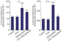<p>Figure 7. Effect of NAC, Deltamethrin, and NAC+Deltamethrin on liver tissue ROS levels of drug-treated mice 1 and 24 <em>hr</em> after receiving the treatments. Control group received 0.5 <em>ml</em> normal saline 0.9%, intervention groups received NAC (160 <em>mg/kg</em>), Deltamethrin (50 <em>mg/kg</em>), and NAC plus Deltamethrin. Data are given as mean&plusmn;SD (n=8). Asterisks *** and <sup>+</sup> represents significantly different p&lt;0.001, and p&lt;0.05 as compared with the control and NAC groups, respectively.</p>
